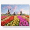 Diamond Painting Windmolens met Nederlandse tulpen – SEOS Shop ®