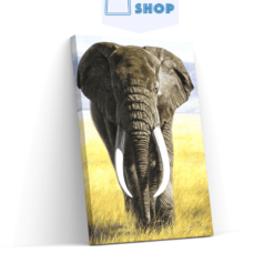 Diamond Painting Safari Olifant met slagtanden - SEOS Shop ®