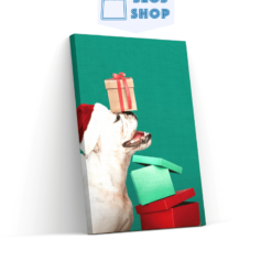 Diamond Painting Puppy met cadeau en kerstmuts - SEOS Shop ®