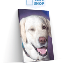 Diamond Painting Hond met knipoog - SEOS Shop ®