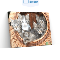 Diamond Painting 5 Kittens samen in een mand - SEOS Shop ®