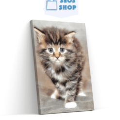 Diamond Painting Harige kitten - SEOS Shop ®