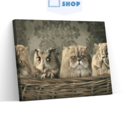 Diamond Painting Uil en katten in mand - SEOS Shop ®
