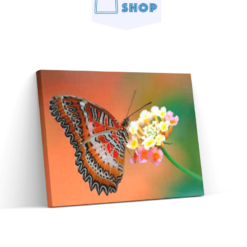 Diamond Painting Vlinder op bloem - SEOS Shop ®
