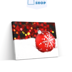 Diamond Painting Rode kerstbal in sneeuw - SEOS Shop ®