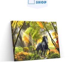 Diamond Painting Paard op een pad - SEOS Shop ®