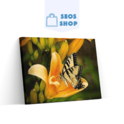 Diamond Painting Vlinder in een bloem - SEOS Shop ®