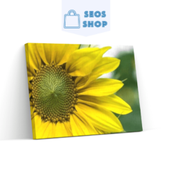 Diamond Painting Gele zonnebloem - SEOS Shop ®
