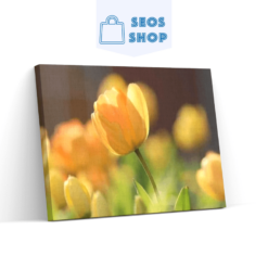 Diamond Painting Gele tulp in de zon - SEOS Shop ®