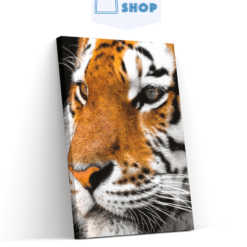 Diamond Painting Volwassen tijger - SEOS Shop ®