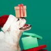 Puppy met cadeau en kerstmuts