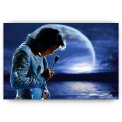 Diamond Painting Elvis Presley in de avond