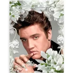 Diamond Painting Elvis Presley – SEOS Shop ®