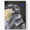 Diamond Painting Kat met witte roos – SEOS Shop ®