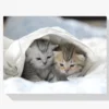 Diamond Painting Kittens in Bed – SEOS Shop ®