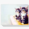 Diamond Painting Kittens met blauwe ogen – SEOS Shop ®
