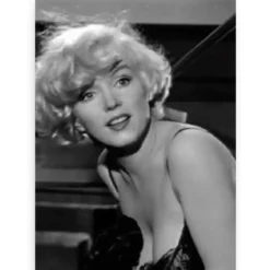 Diamond Painting Marilyn Monroe portret zwart wit - SEOS Shop ®