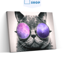 Diamond Painting Kat met paarse bril - SEOS Shop ®