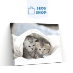 Diamond Painting Kittens in Bed - SEOS Shop ®