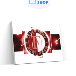 Diamond Painting Feyenoord logo 5 luik - SEOS Shop ®