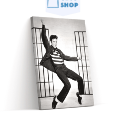 Diamond Painting Elvis Presley dansend - SEOS Shop ®