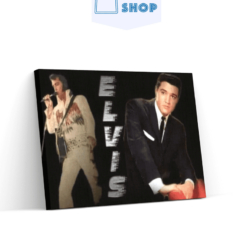 Diamond Painting Elvis Presley twee fases - SEOS Shop ®