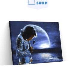 Diamond Painting Elvis Presley in de avond - SEOS Shop ®