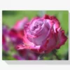 Diamond Painting Roze Roos – SEOS Shop ®