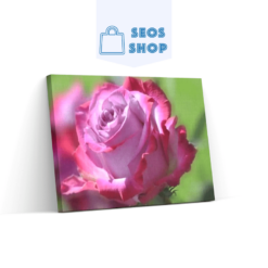 Diamond Painting Roze Roos - SEOS Shop ®