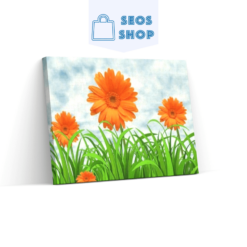 Diamond Painting Oranje Margrieten - SEOS Shop ®