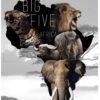 The Big Five dieren diamond painting