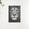 Diamond Painting Zwart Wit leeuw
