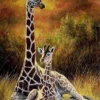 Giraf Moeder en Kind