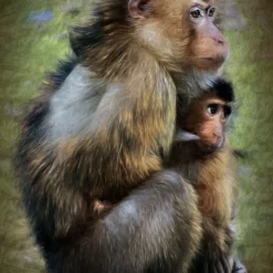 Baby en moeder aap