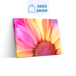 Diamond Painting - Gekleurde zonnebloem-SEOS Shop ®