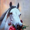 Paard met roos - Diamond painting