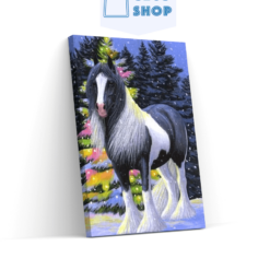 Diamond Painting Paard in de sneeuw - SEOS Shop ®