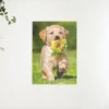 Diamond painting Labrador puppy met een bloem – 25×30 cm – SEOS Shop®