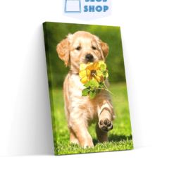 Diamond painting Labrador puppy met een bloem - SEOS Shop®