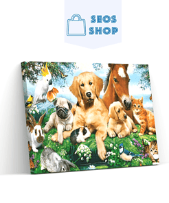 Diamond Painting Paard Hond Kat Parrot Vogels – SEOS Shop ®