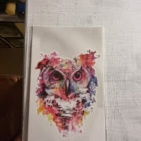 Diamond Painting Husky met puppy ogen - SEOS Shop ® photo review
