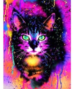 Diamond Painting Kleurrijke kat