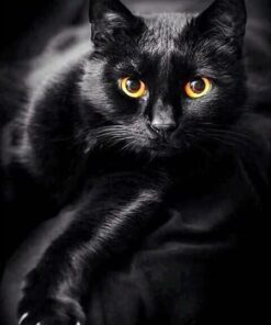 Diamond Painting Zwarte kat en gele ogen