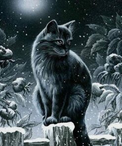 Diamond Painting Winter zwarte kat