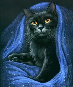 Diamond Painting Zwarte Kat