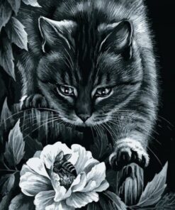 Diamond Painting Zwarte kat met bloem en bij