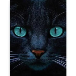 Diamond Painting Zwarte kat en blauwe ogen - SEOS Shop ®