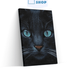 Diamond Painting Zwarte kat en blauwe ogen – SEOS Shop ®