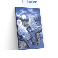 Diamond Painting Winter Uilen - SEOS Shop ®