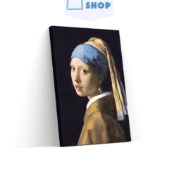 Diamond Painting Vermeer – Meisje Met De Parel - SEOS Shop ®